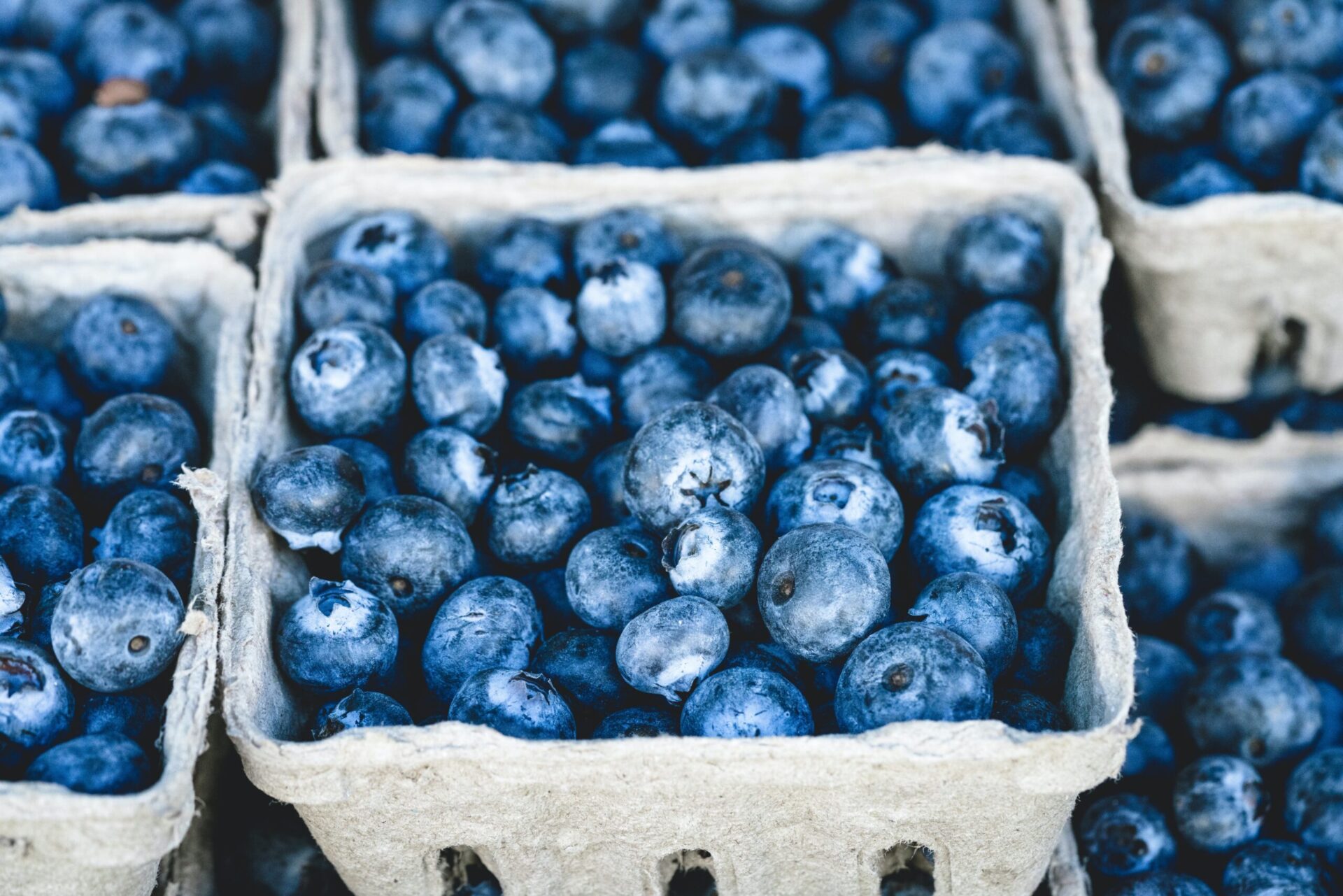 Are Blueberries Good For Runners? Running Matter